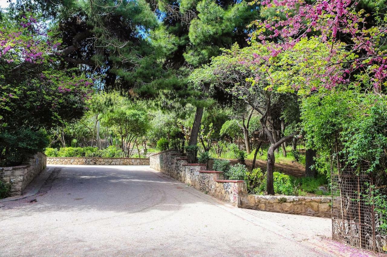 Charming Apartment Near Panathenaic Stadium Εξωτερικό φωτογραφία